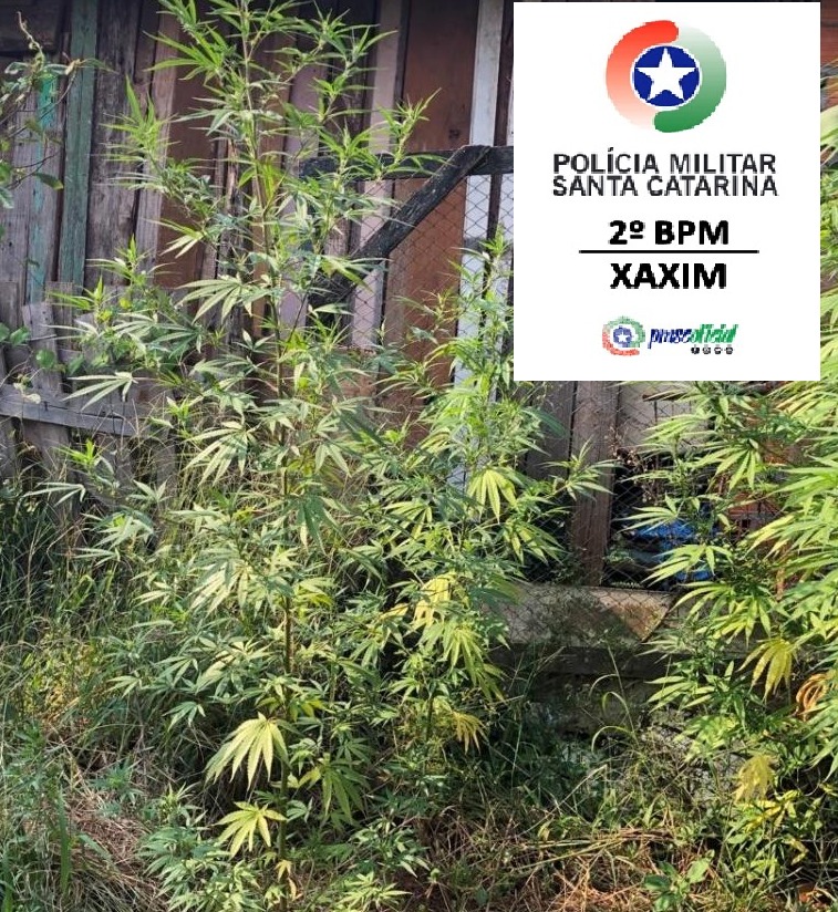 Polícia Militar